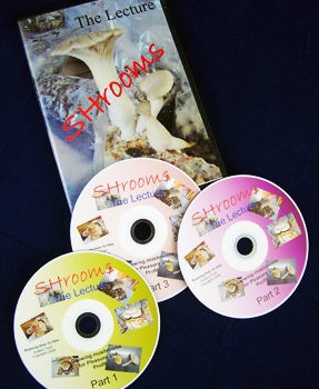 Lecture DVDs